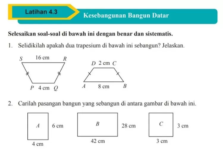 Soal Dan Kunci Jawaban Matematika Kelas 9 Halaman 238-241 Kurikulum ...