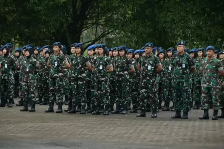 BARU DIBUKA! Rekrutmen Bintara PK TNI AU 2023 Gelombang 1, Cek ...