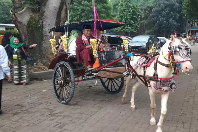 Asal Usul Delman Ternyata Dari Nama Orang Ini Sosoknya Bromo Today