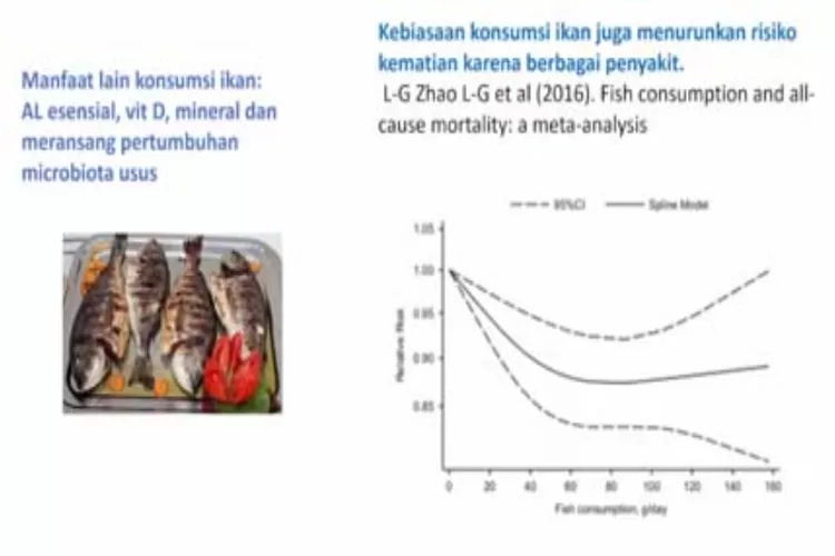 Kementerian Kesehatan Ungkap Protein Hewani Dinilai Efektif Cegah Anak ...