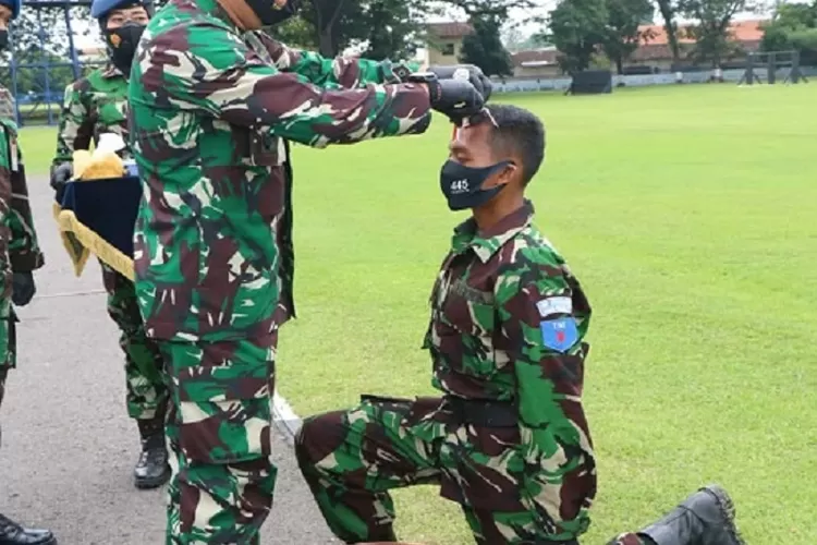 Tabel Gaji TNI Terbaru Pangkat Tamtama Hingga Perwira Lebih Gede Mana Dari Polisi Ayo Bandung