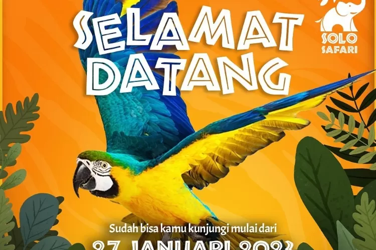 Solo Safari Resmi Dibuka Hari Ini Cek Harga Tiket Jam Buka Dan