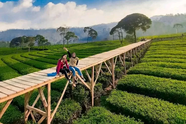 Bukan Hanya Jember, Inilah Objek Wisata Taman Riung Gunung Pangalengan ...