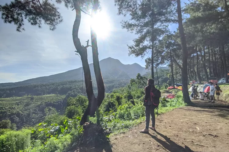 Bukit Si Kabayan, Wisata Camping Ground Murah Daerah Bogor - Sinergi ...