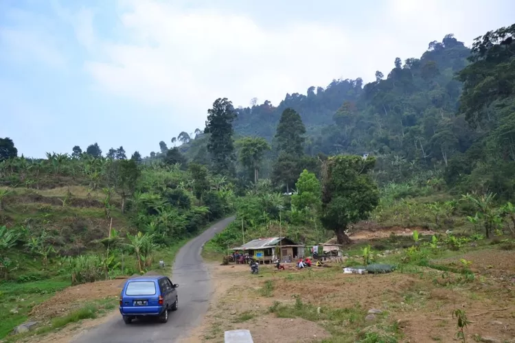 Jalur Puncak II, Kabupate Bogor, Jawa Barat. (Foto: Dok Radar Bogor)