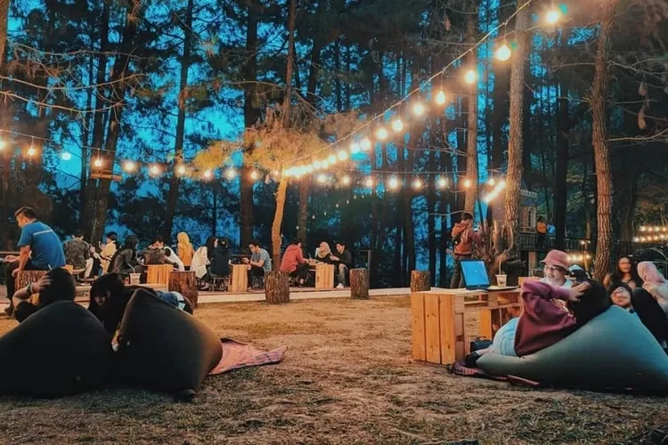 Daong Coffee Bogor Tempat Kopi Di Tengah Hutan Pinus Dengan Beragam Spot Yang Aesthetic Dan 6990