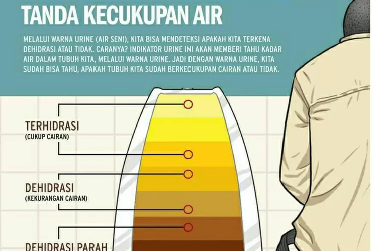 Bagaimana Warna Kencing Yang Sehat? Waspada! Inilah Jenis Warna Kencing ...