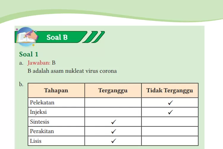 Lengkap! Kunci Jawaban IPA Kelas 10 Soal B Halaman 206-213: Latihan ...