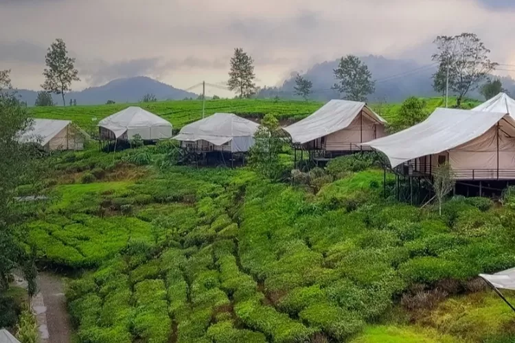 3 Rekomendasi Spot Glamping Favorit Di Bandung, Tempat Berkemah Paling ...