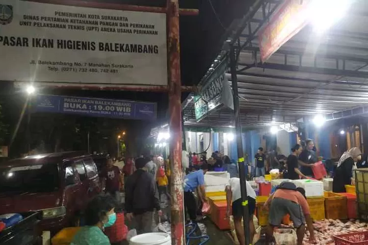 Pasar Ikan Balekambang Solo Terus Eksis Sejak Era Wali Kota Jokowi ...