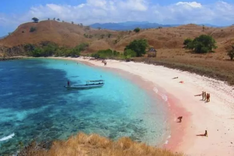 Bukan Hanya Labuan Bajo Inilah Rekomendasi Pink Beachdi Indonesia Yang Mempesona Dan Wajib