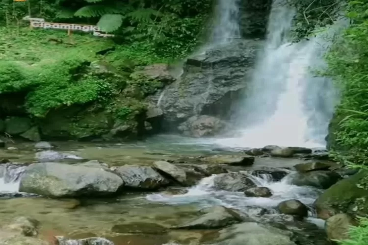 Lokasi Curug Cipamingkis Luxury Glamping Bermalam Di Tengah Alam Bogor ...