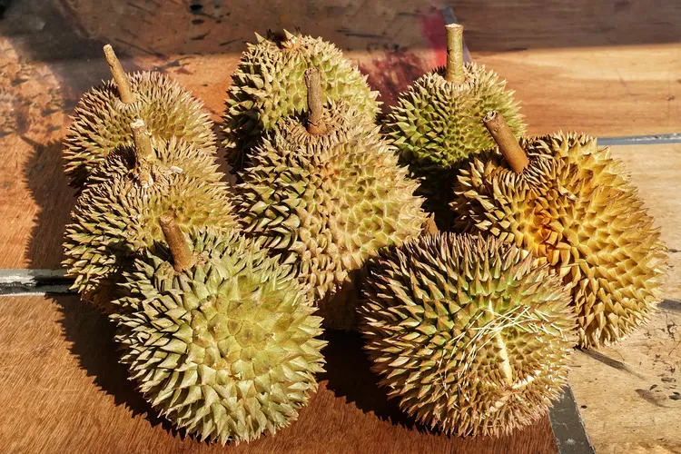 Warga Majalengka Pasti Bangga Inilah Fakta Durian Sinapeul Durian Lokal Khas Kota Angin