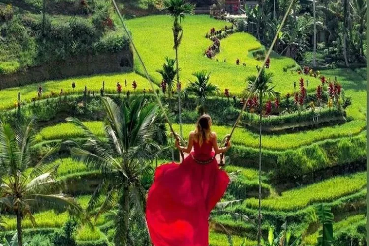 Sawah Terasering Ubud Tegalalang, Salah Satu Wisata Bali Terkenal ...