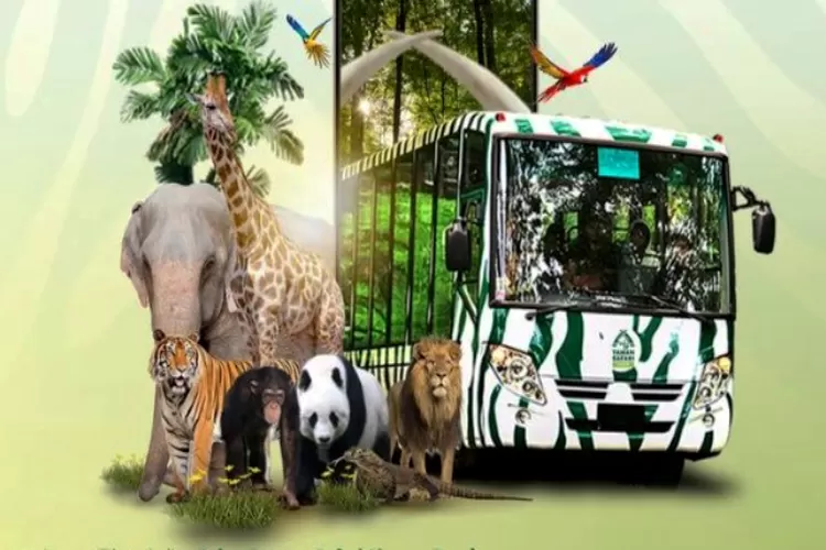 cek harga tiket masuk taman safari indonesia