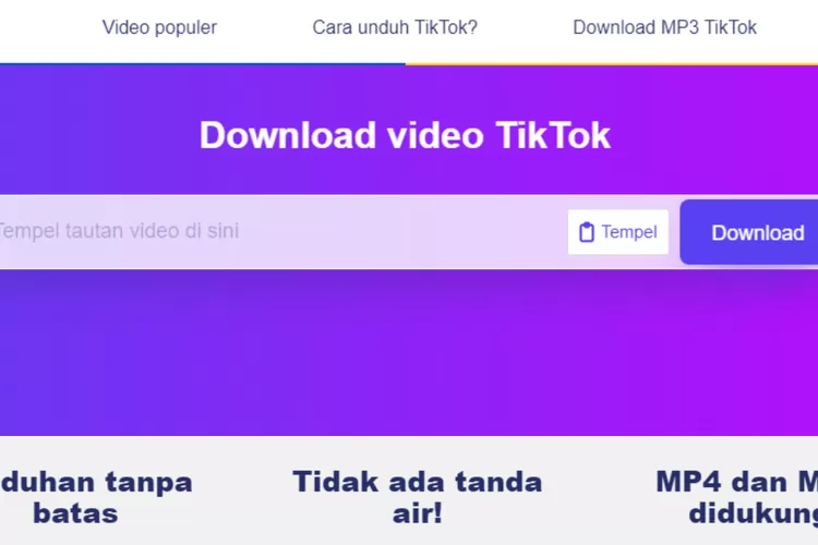 SSSTikTok SnapTik, Situs Download Video TikTok Tanpa Watermark Paling Aman Mudah Digunakan. (Foto/TL SSSTiktok.)
