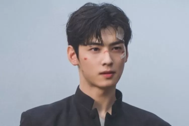 Biodata Cha Eun Woo Anggota Boyband Astro Yang Menjadi Pemeran Island