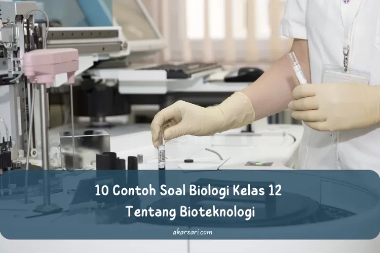 10 Contoh Soal Biologi Kelas 12 Tentang Bioteknologi Lengkap Dengan ...