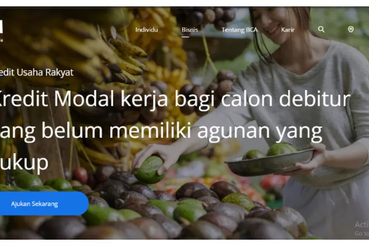 Cara Pengajuan KUR BCA 2023, Serta Info Mengenai Jenis Kredit Dan Limit ...