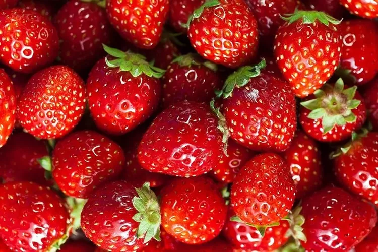 Mengenal Istilah Strawberry Generations, Rhenald Kasali: Bukan Generasi ...