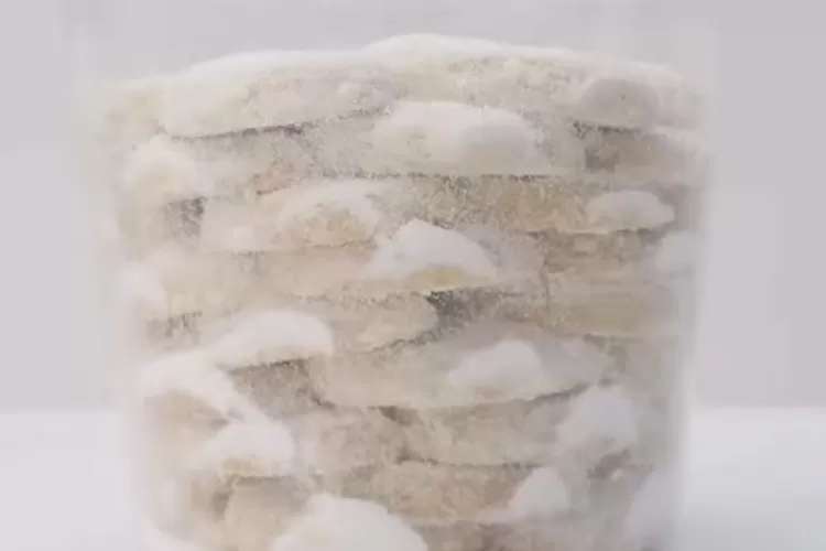 Resep&nbsp;kue putri salju kacang mede yang jadi ide cuan jualan di Ramadhan 2023 (Youtube/nominooom)