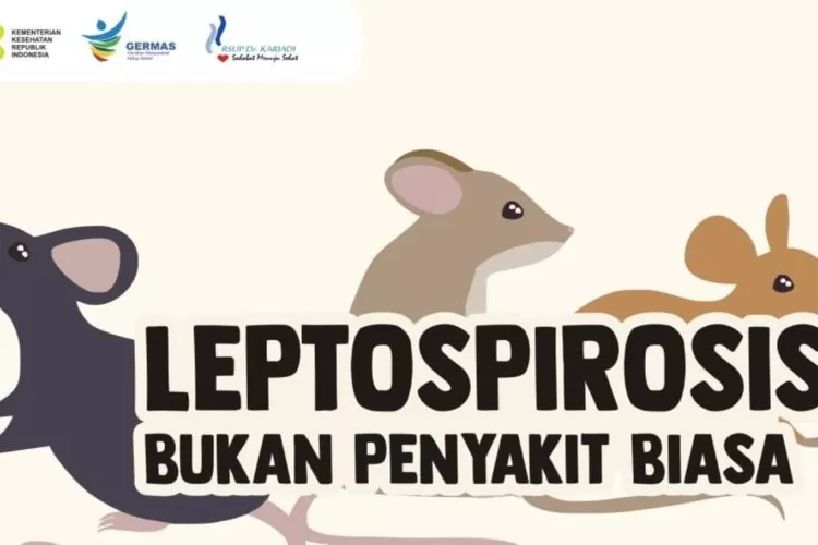 Kenali Gejala Penyakit Leptospirosis Dan Cara Pencegahannya - Detik Sumsel