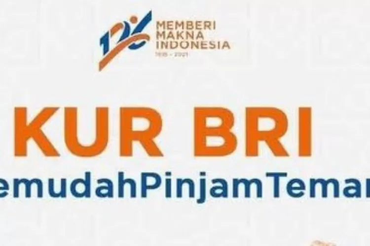 Syarat Dan Ketentuan Pengajuan KUR BRI 2023 Bagi UMKM, Para Pelaku ...