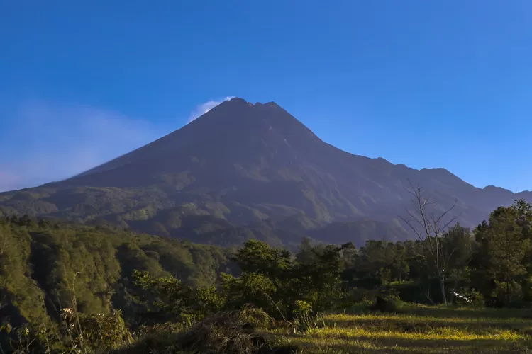 Simak Sejarah Panjang Erupsi Gunung Merapi Dari Masa Kolonial Sejak ...