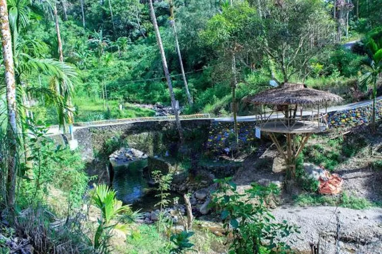 3 Rekomendasi Wisata di Kabupaten Pariaman, Sumatera Barat, Nomor 2 Kolam Alami yang Indah (https://jadesta.kemenparekraf.go.id/atraksi/ikan_larangan_kubu_koto_bimo)