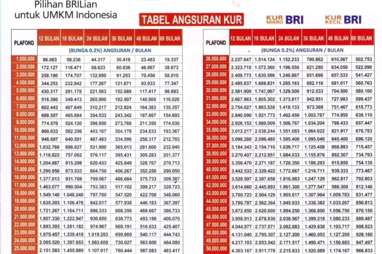 Suku Bunga KUR BRI 2024, Syarat Pinjaman Dan Lihat Tabel Angsuran ...