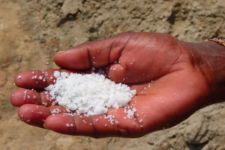 Garam bermanfaat untuk mengobati asam lambung tapi ingat jangan dimasak. (Muhammad SA/Foto: Pixabay/@LoggaWiggler)