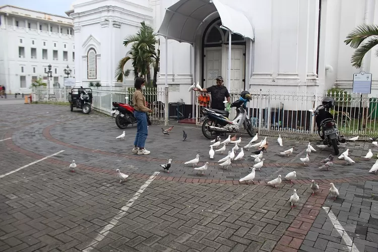 Suasana saat memberi makan Burung Merpati di Gereja Blenduk Kota Lama Semarang (babad.id/Mazia)