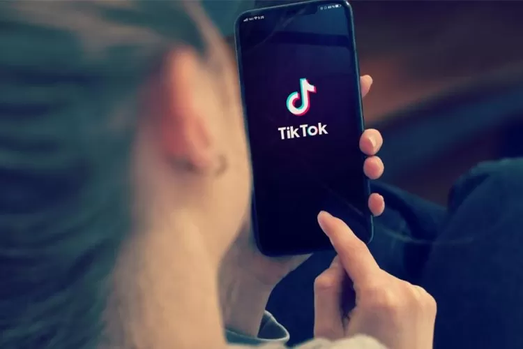 Begini Cara Download Video TikTok Tanpa Watermark Gratis, Pakai SnapTik
