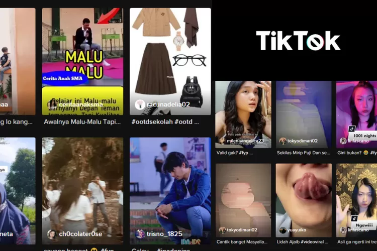 SnapTik CapCut, Cara Praktis Download Video TikTok Tanpa Watermark Kualitas HD. (Foto/Tangkap Layar TikTok.)