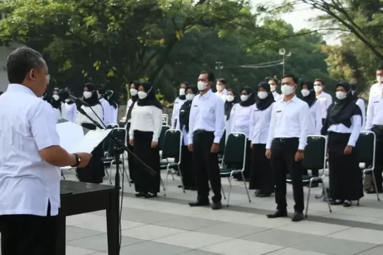 Penuhi 4 Syarat Ini Bagi Pemerintah Daerah, Jika Honorer Di Lingkungan ...