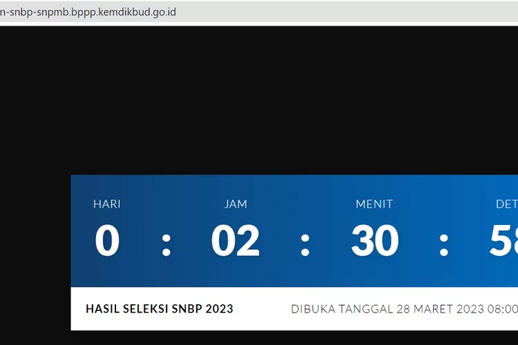 Hari Ini Jam 3 Sore Pengumuman SNBP 2023! Berikut Cara Cek Dan Link ...