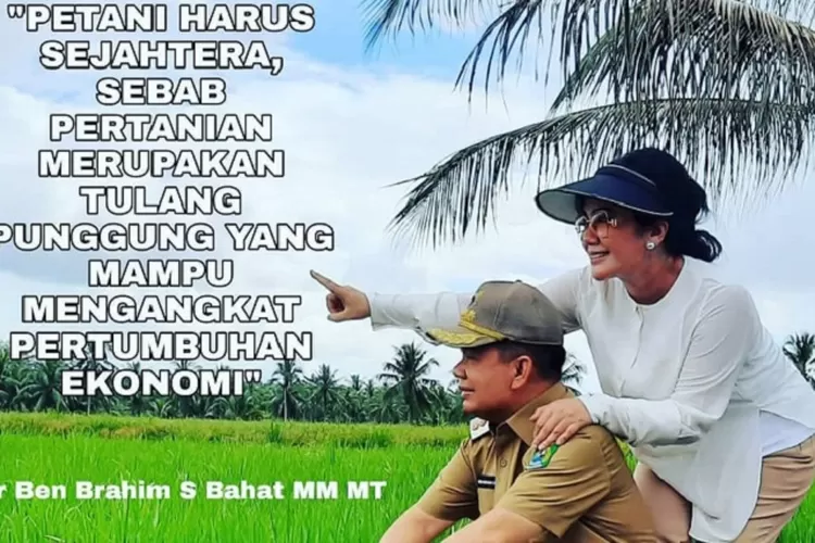 Intip Harta Kekayaan Ary Egahni, Istri Bupati Kapuas Yang Ikut ...