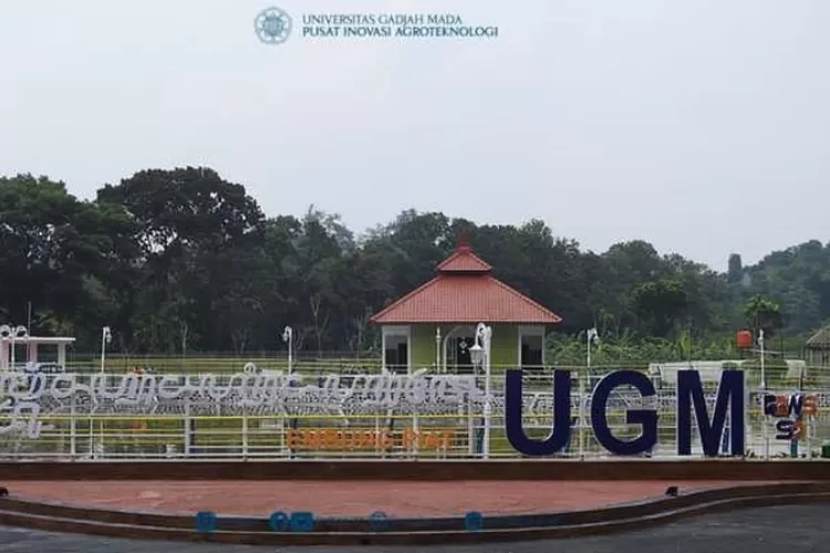 Inilah Jurusan Kuliah Universitas Gajah Mada Ugm Yang Sepi Peminat Dengan Prospek Kerja Bagus