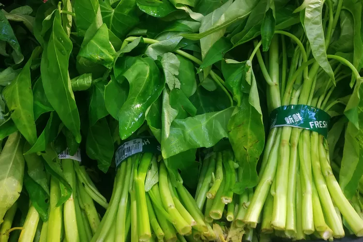 Ilustrasi Sayuran. (unsplash.com)