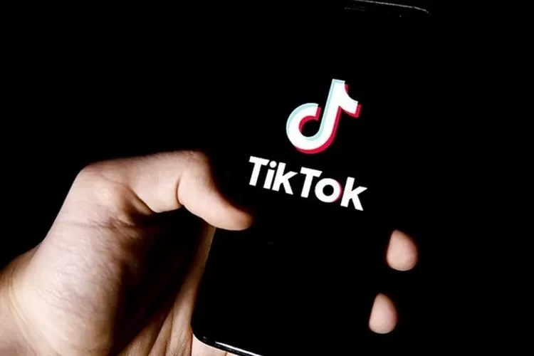 Cara Download TikTok MP4 Tanpa Watermark di SnapTik, Mudah dan Gratis! -  Banten Raya