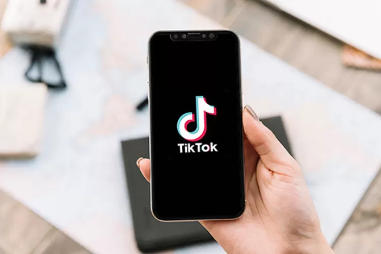 Cara Download TikTok MP4 Tanpa Watermark di SnapTik, Mudah dan Gratis! -  Banten Raya