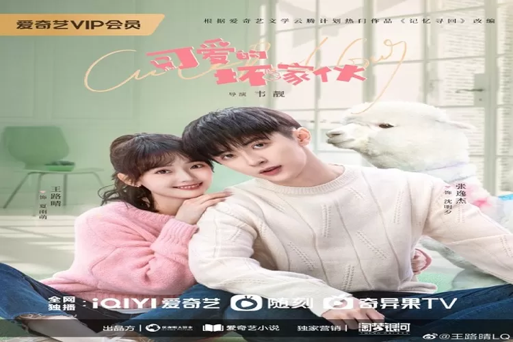 Cute Bad Guy Drama China Adaptasi Novel Dibintangi  Zhang Yi Jie dan Wang Lu Qing (Weibo)