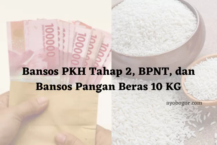 Update Bansos Pkh Tahap Bpnt Dan Bantuan Beras Kg Bulan April