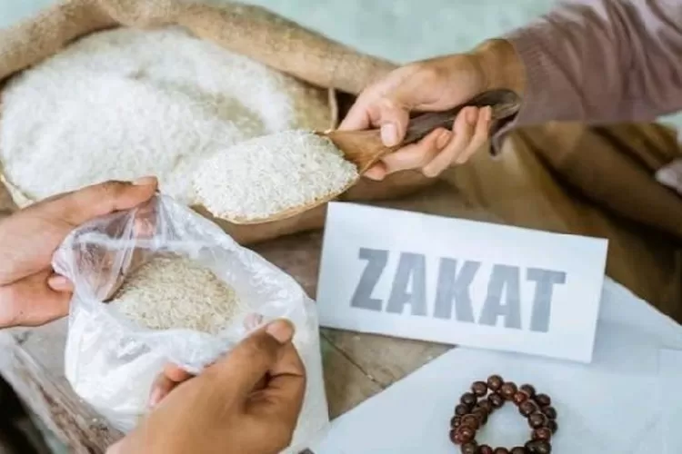 13 Keutamaan Zakat Fitrah Di Bulan Ramadan, Menjaga Dan Mempererat Asa ...