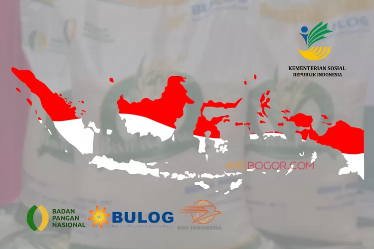 Penyaluran Bansos Beras 10 Kg Telah Diberikan Di 10 Provinsi Ini ...