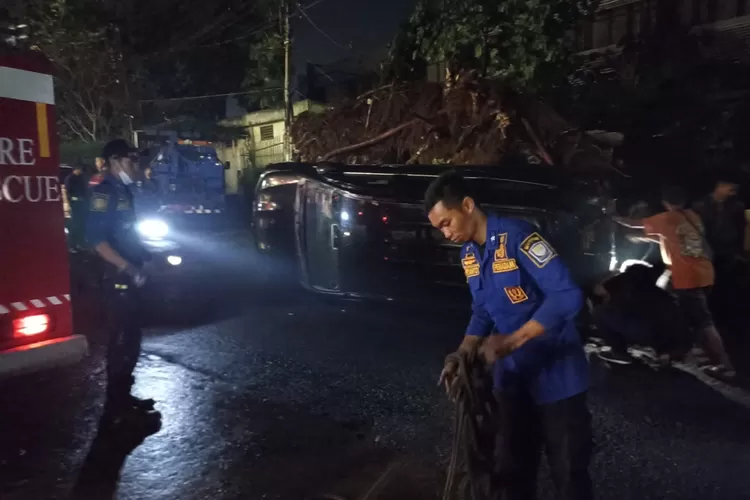 Pohon Berukuran Jumbo Di Kota Bandung Tumbang Usai Diterpa Hujan Dan ...