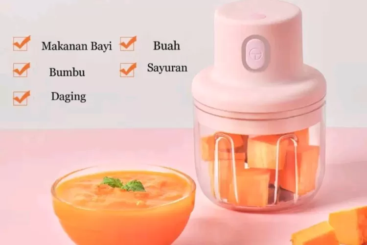 Nutribullet Go - Harga Terbaru Januari 2024