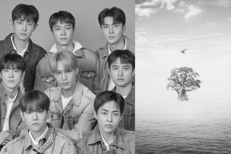 Lirik Lagu BIRD (THE BEST Ver.) - EXO, Disertai Makna dan Terjemahan