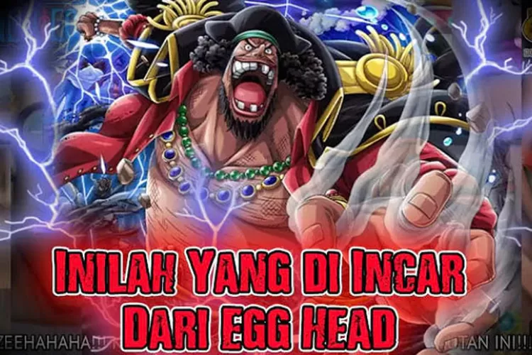 Spoiler One Piece 1065 Beri Petunjuk Kenyataan Pulau Egghead