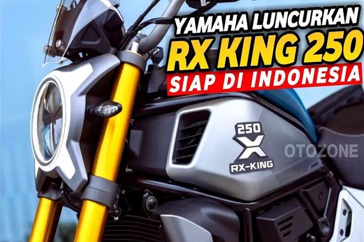 Rx shop king 250cc